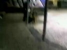 Policial é flagrado maltratando um morador de rua no Rio