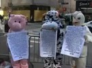 ONG de defesa dos animais se une aos manifestantes em NY