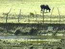 Seca cancela até festas juninas em cidades baianas