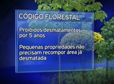 Comissão da Câmara aprova relatório do novo Código Florestal
