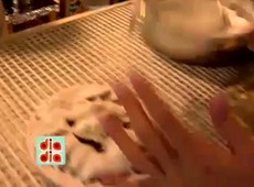 Rodrigo Leitão experimenta as panquecas de Amsterdam