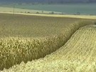 MP que altera Código Florestal é aprovada por comissão