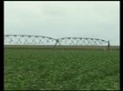 Nova politica de irrigação busca aumentar produtividade