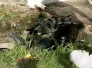 Motociclista de 17 anos morre em acidente em Paulista (PE)