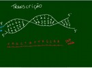 Biologia%3A%20Transcri%E7%E3o%20e%20tipos%20de%20RNA