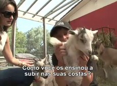 O Mundo Segundo os Brasileiros - Toronto - Parte 2