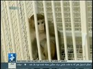 Irã envia macaco para o espaço