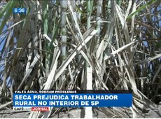 Seca prejudica colheita de cana-de-açúcar no interior de SP