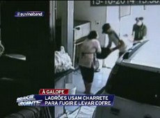 Ladrões fogem de charrete após cometer assalto
