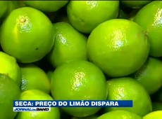 Preço do limão dispara e brasileiros começam a substituir a fruta