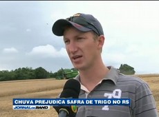 Chuva prejudica safra do trigo no RS