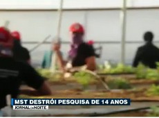 Grupo de mulheres do MST destrói pesquisa de 14 anos