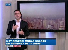 MST deve ser punido por destruir mudas usadas em pesquisa