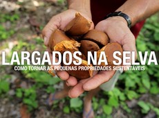 Largados na Selva: Como tornar pequenas propriedades sustentveis