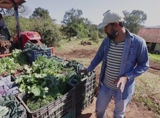 Vídeo mostra o caminho dos produtos orgânicos, da plantação à feira