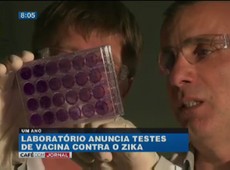 Vacina contra o Zika vírus deve demorar um ano