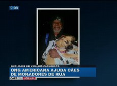 ONG americana ajuda cães de rua