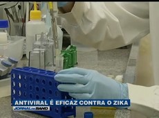 Medicamento que combate malária pode ajudar a combater Zika