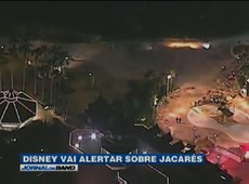 Disney coloca placas de sinalização sobre jacarés após tragédia