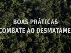Documentrio aponta boas prticas para combater desmatamento