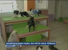 Hotéis para cães aumentam os lucros
