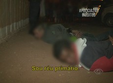 Mentiras Contadas
