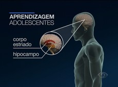 Adolescentes aprendem mais quando elogiados, diz estudo