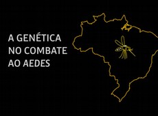 Entenda como a gentica pode combater o Aedes