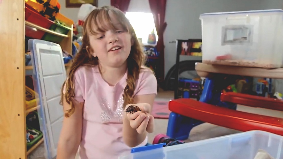 Menina americana quer ser cientista e coleciona baratas - TV UOL