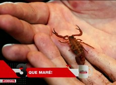 Top5: Confira as principais notícias do dia pelo mundo
