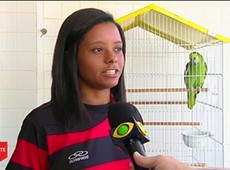 Pimpão e Guerreiro são mascotes de clássico carioca