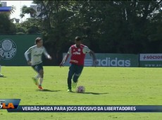 Vampeta: Palmeiras passou dificuldade para classificar