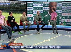 Não estão respeitando o Palmeiras, diz Fernando Fernandes