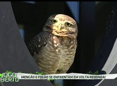 Flamengo e Botafogo duelam no Brasileirão