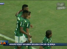 Maravilha sobre elenco do Verdão: não tem que poupar nada