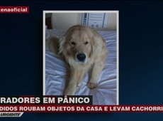 Bandidos invadem casa e levam animal de estimação