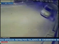 Polícia divulga retrato falo de atropeladores de grávida