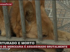 Dono de mercearia é morto em Guarulhos