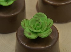 Mini Pão-de-mel decorado com suculentas