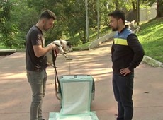 Bom pra Cachorro: Saiba a importância do adestramento