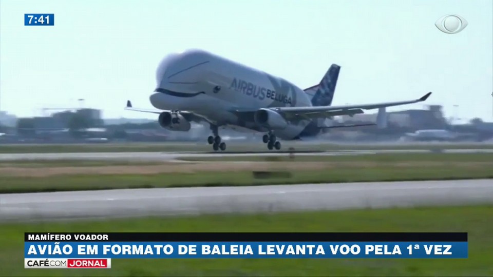 Airbus Beluga XL: avião conhecido como baleia voadora começa a