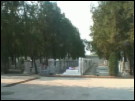Chineses homenageiam parentes falecidos