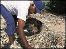 Pescadores retiram lixo para salvar a Baía de Guanabara