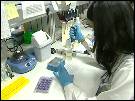 Cientistas anunciam maior avanço sobre mal de Alzheimer