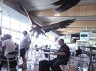 Águias de 'O Hobbit' invadem aeroporto na Nova Zelândia