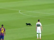 Em jogo do Barcelona, gato preto rouba a cena e invade o gramado