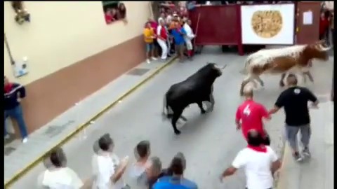Turismo turbina corrida de touros e gera mortes na Espanha - 08/09/2015 -  UOL Nossa