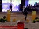 Começa concurso internacional de saltos indoor na Hípica Paulista
