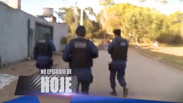 Operação de Risco está no ar com flagras inéditos - 20/08/2016 - UOL Play