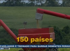 Pragas importadas ameaçam a agricultura brasileira